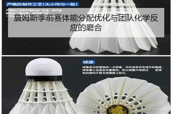 詹姆斯季前赛体能分配优化与团队化学反应的磨合