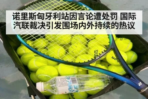 诺里斯匈牙利站因言论遭处罚 国际汽联裁决引发围场内外持续的热议