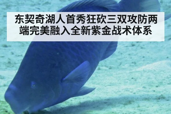 东契奇湖人首秀狂砍三双攻防两端完美融入全新紫金战术体系